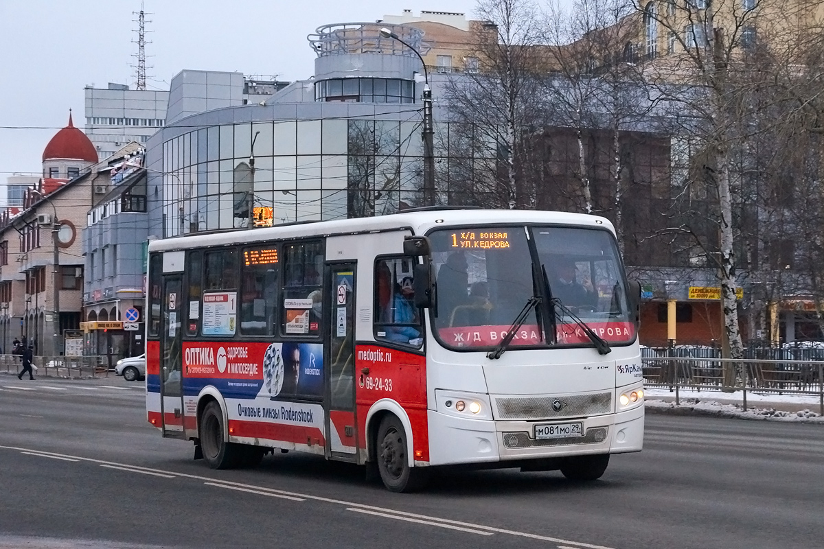 Arkhangelsk region, PAZ-320412-04 "Vector" № М 081 МО 29