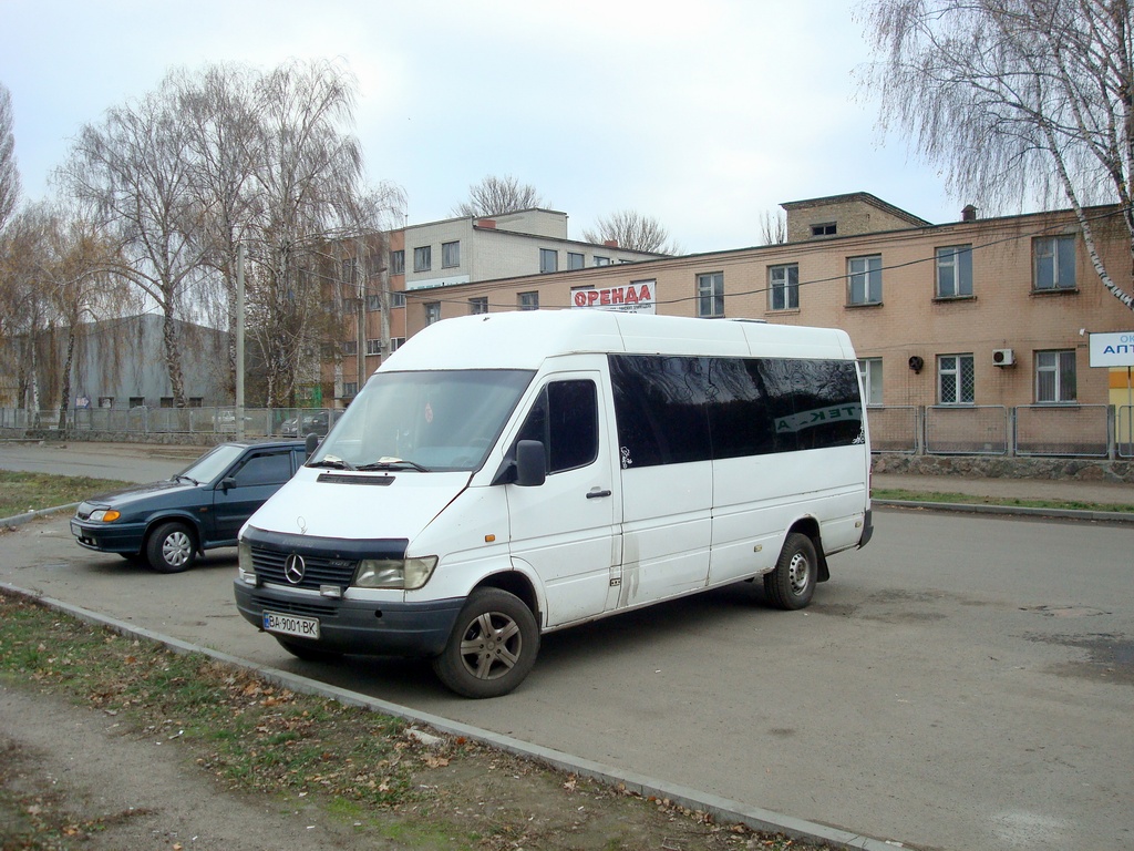 Кировоградская область, Mercedes-Benz Sprinter W903 312D № BA 9001 BK