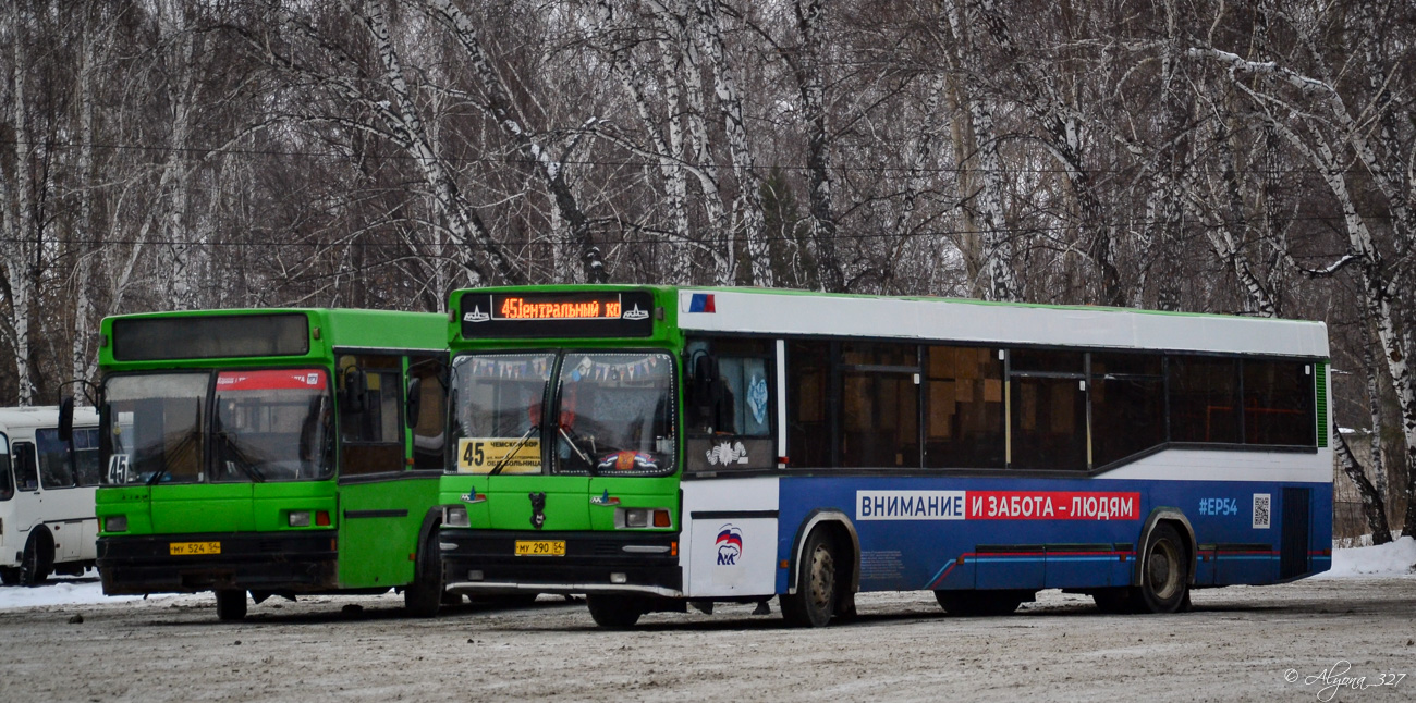 Новосибирская область, МАЗ-104.021 № 4156