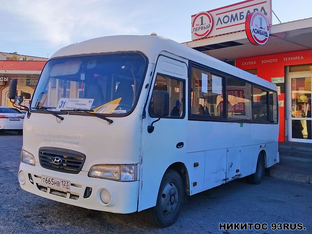 Краснодарский край, Hyundai County LWB C11 (ТагАЗ) № Т 665 НВ 123