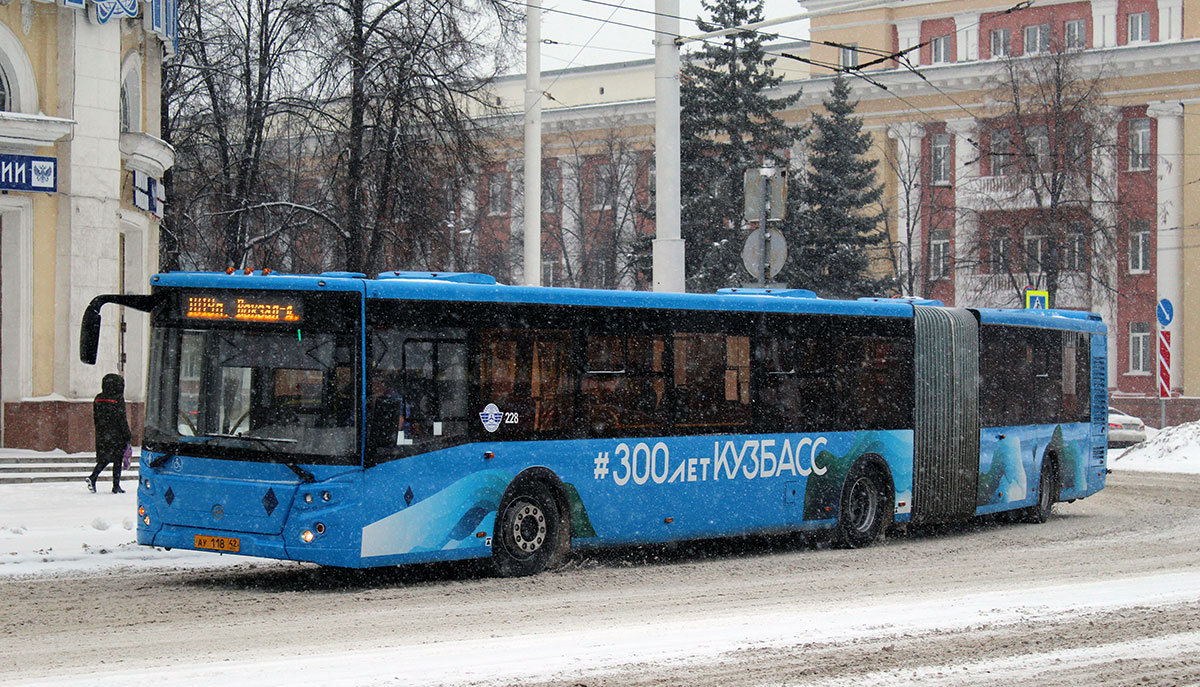 Kemerovo region - Kuzbass, LiAZ-6213.65 Nr. 228