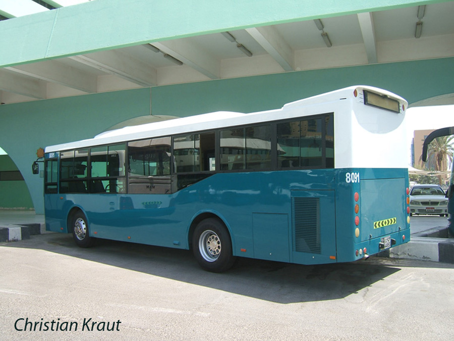 ОАЭ, Ankai HFF6100GK63 № 8091