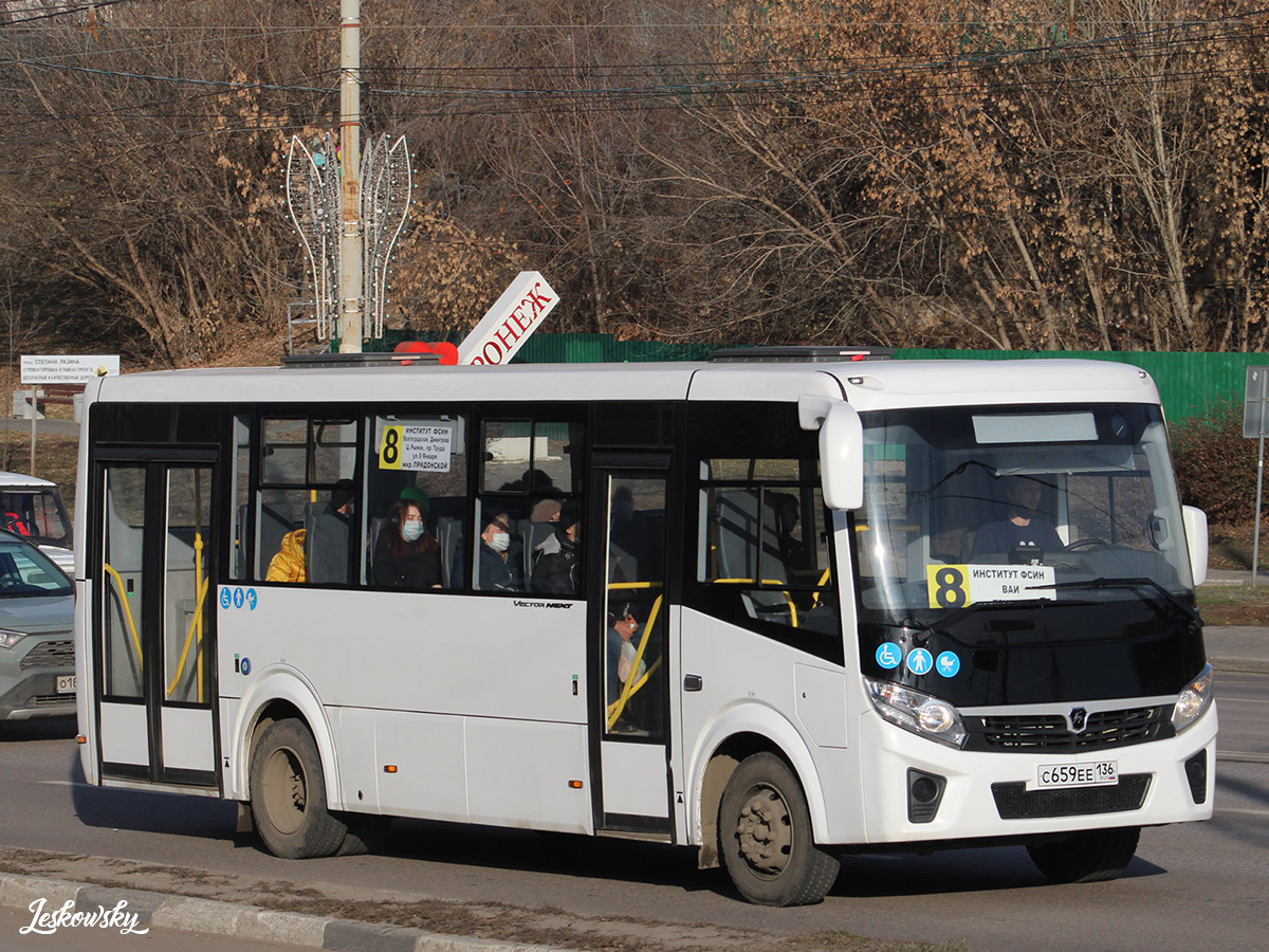 Воронежская область, ПАЗ-320415-04 "Vector Next" № С 659 ЕЕ 136