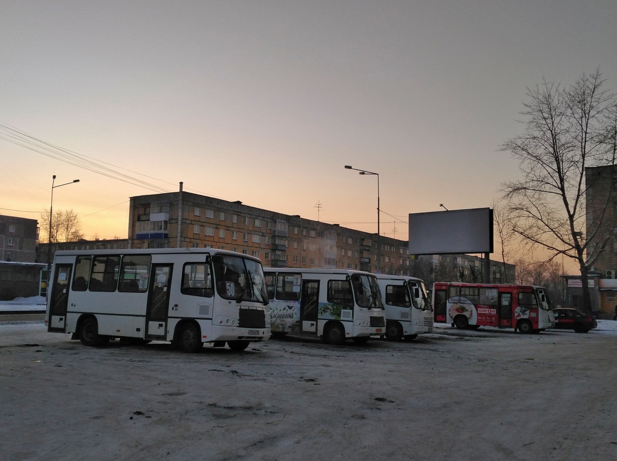 Свердловская область, ПАЗ-320302-12 № К 701 АЕ 196; Свердловская область, ПАЗ-320302-08 № КА 149 66; Свердловская область, ПАЗ-320302-12 № К 821 АЕ 196; Свердловская область, ПАЗ-320302-08 № КА 147 66; Свердловская область — Автовокзалы, конечные станции и остановки