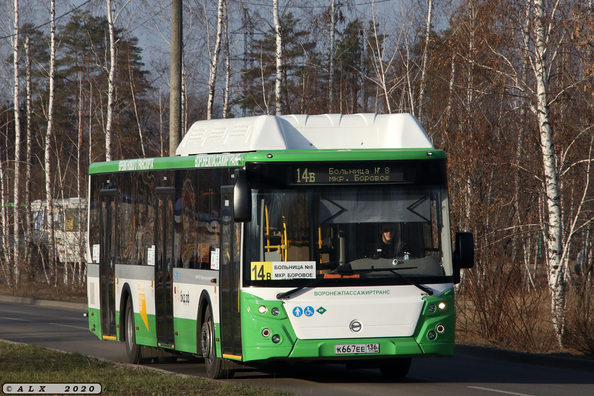 Воронежская область, ЛиАЗ-5292.67 (CNG) № К 667 ЕЕ 136