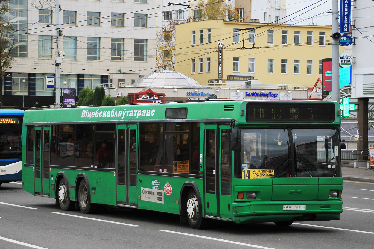 Vitebsk region, MAZ-107.065 Nr. 010730