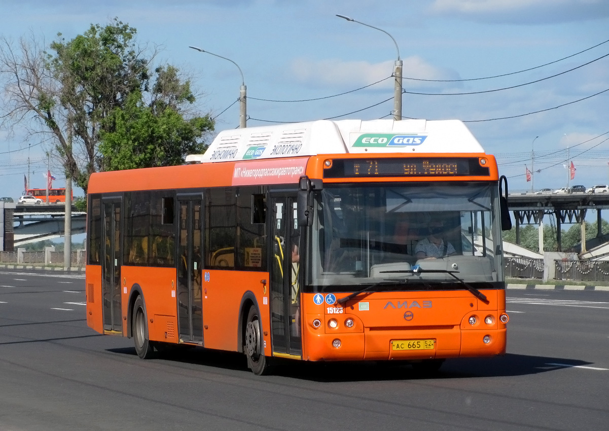 Нижегородская область, ЛиАЗ-5292.67 (CNG) № 15123