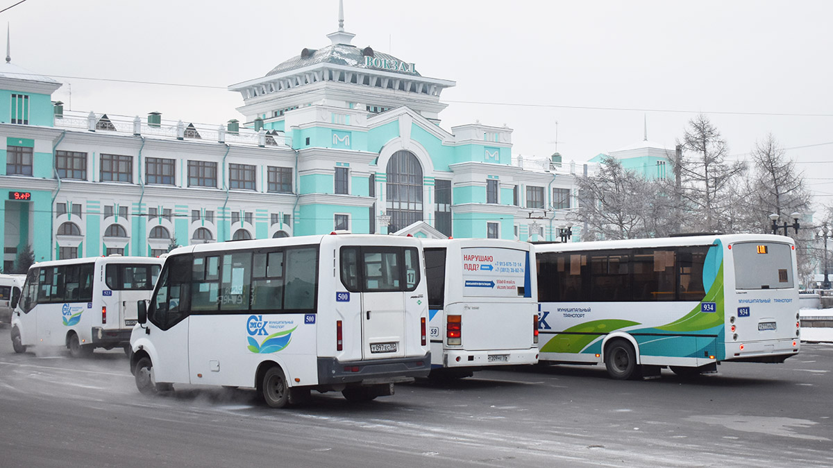Omsk region, Luidor-2250DS (GAZ Next) Nr. 500; Omsk region — Bus stops