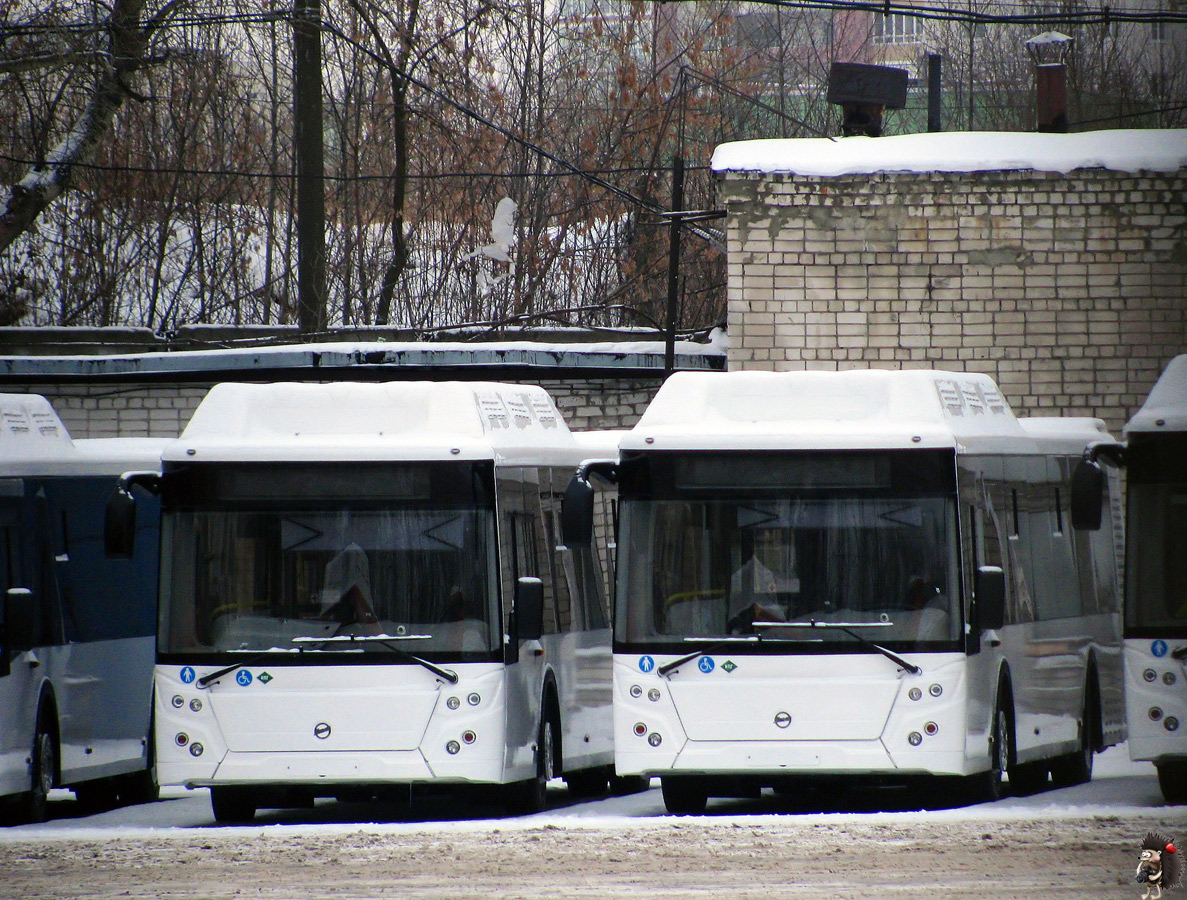 Нижегородская область — Автопарки; Нижегородская область — Новые автобусы