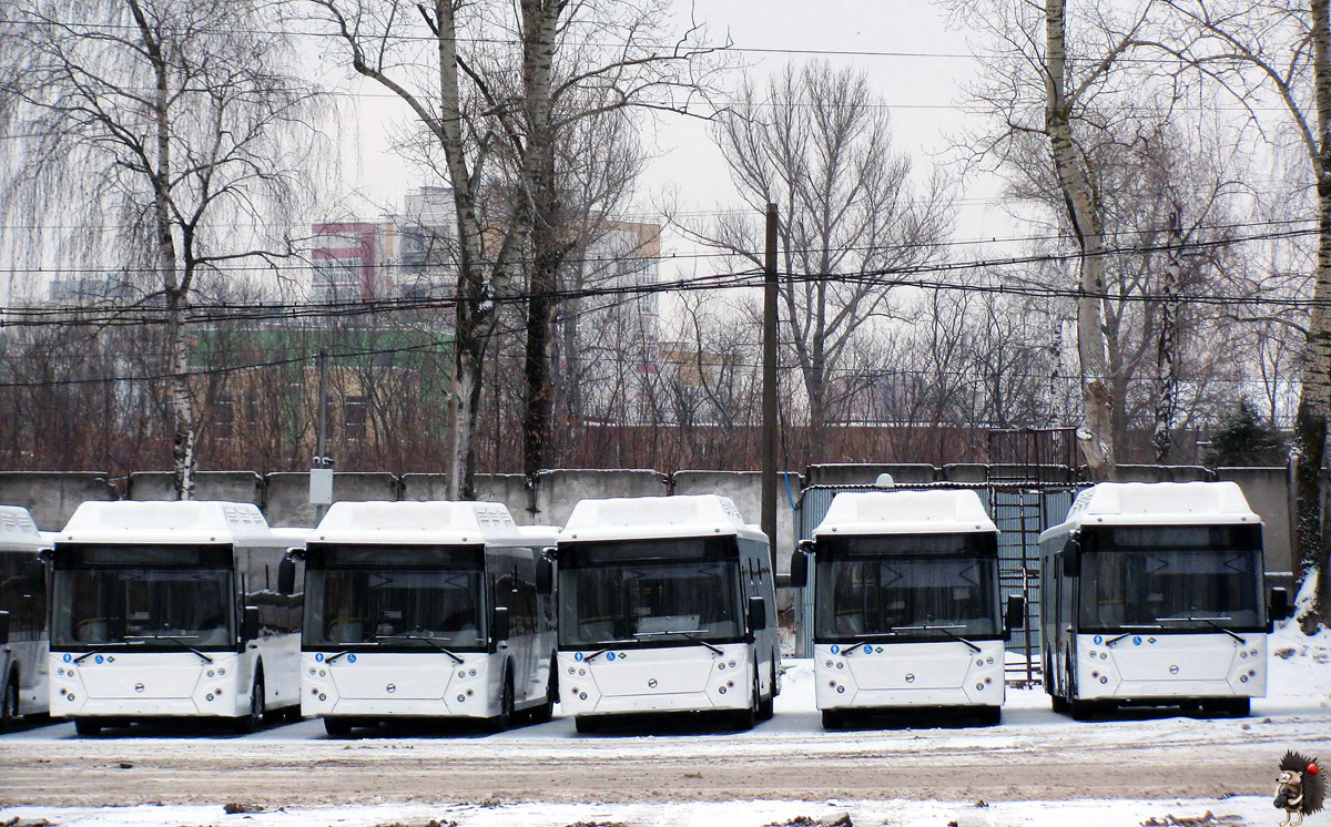 Нижегородская область — Автопарки; Нижегородская область — Новые автобусы