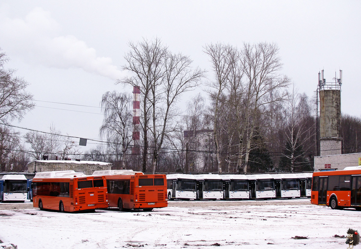 Нижегородская область — Автопарки; Нижегородская область — Новые автобусы