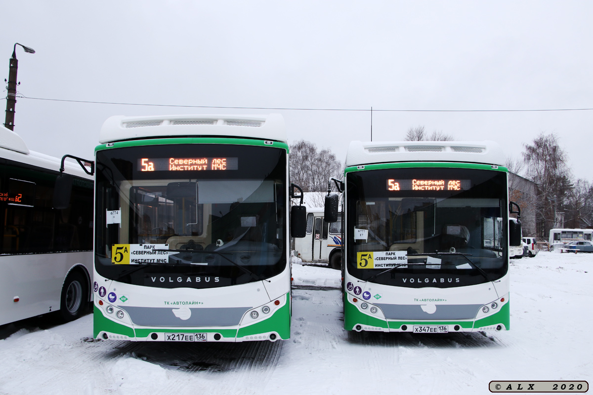 Воронежская область, Volgabus-5270.G2 (CNG) № Х 217 ЕЕ 136; Воронежская область, Volgabus-5270.G2 (CNG) № Х 347 ЕЕ 136