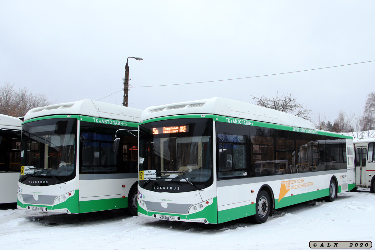 Воронежская область, Volgabus-5270.G2 (CNG) № Х 347 ЕЕ 136