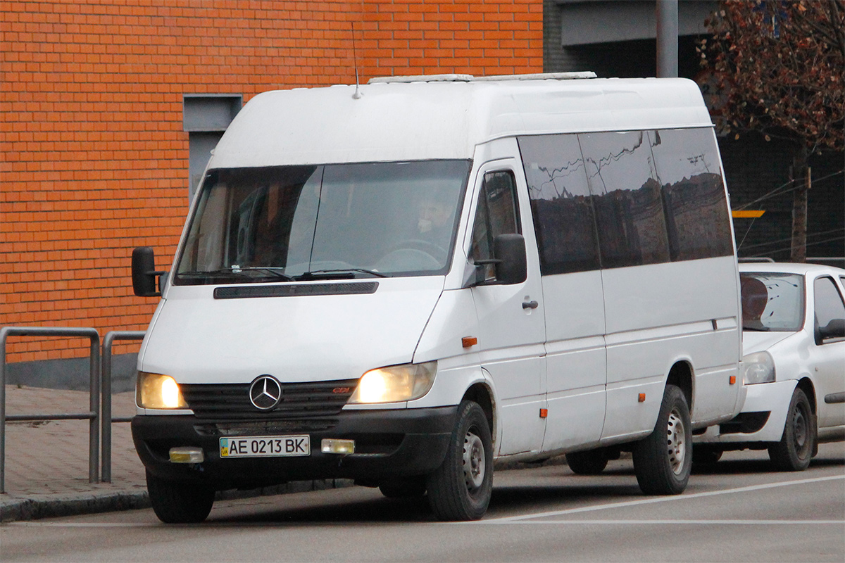 Днепропетровская область, Mercedes-Benz Sprinter W903 313CDI № AE 0213 BK