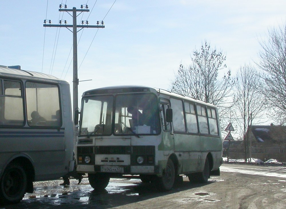 Ленинградская область, ПАЗ-3205 (00) № В 065 НА 47