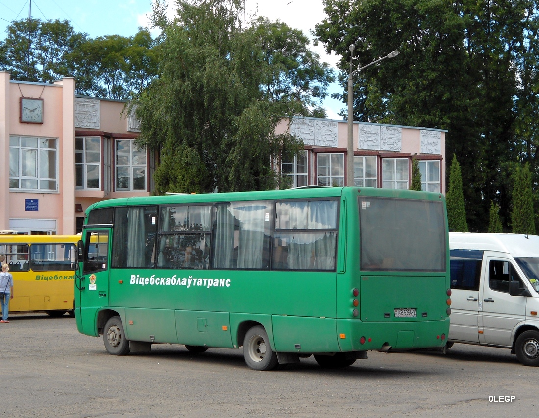 Vitebsk region, MAZ-256.170 Nr. 40381