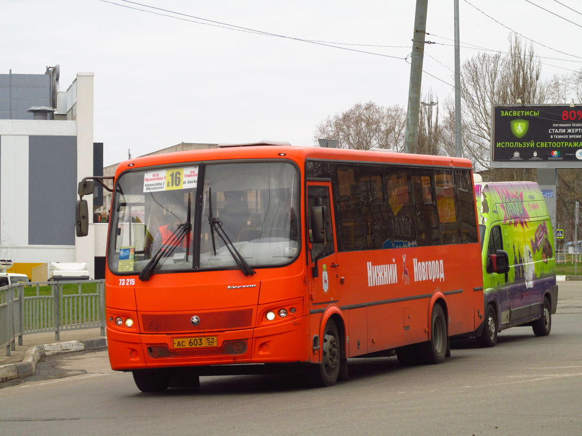 Нижегородская область, ПАЗ-320414-05 "Вектор" (1-2) № 73215