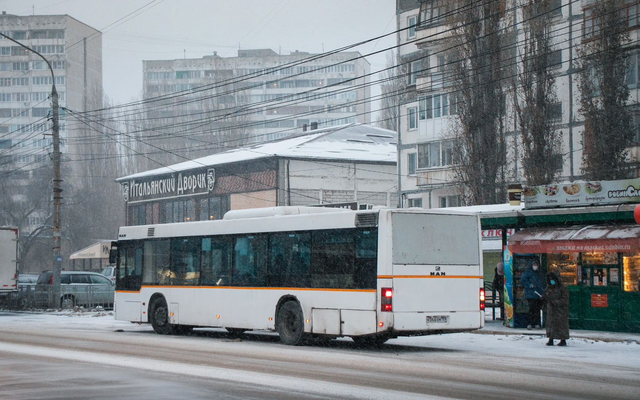 Voronezh region, MAN A21 NL263 Nr. К 066 ХМ 159