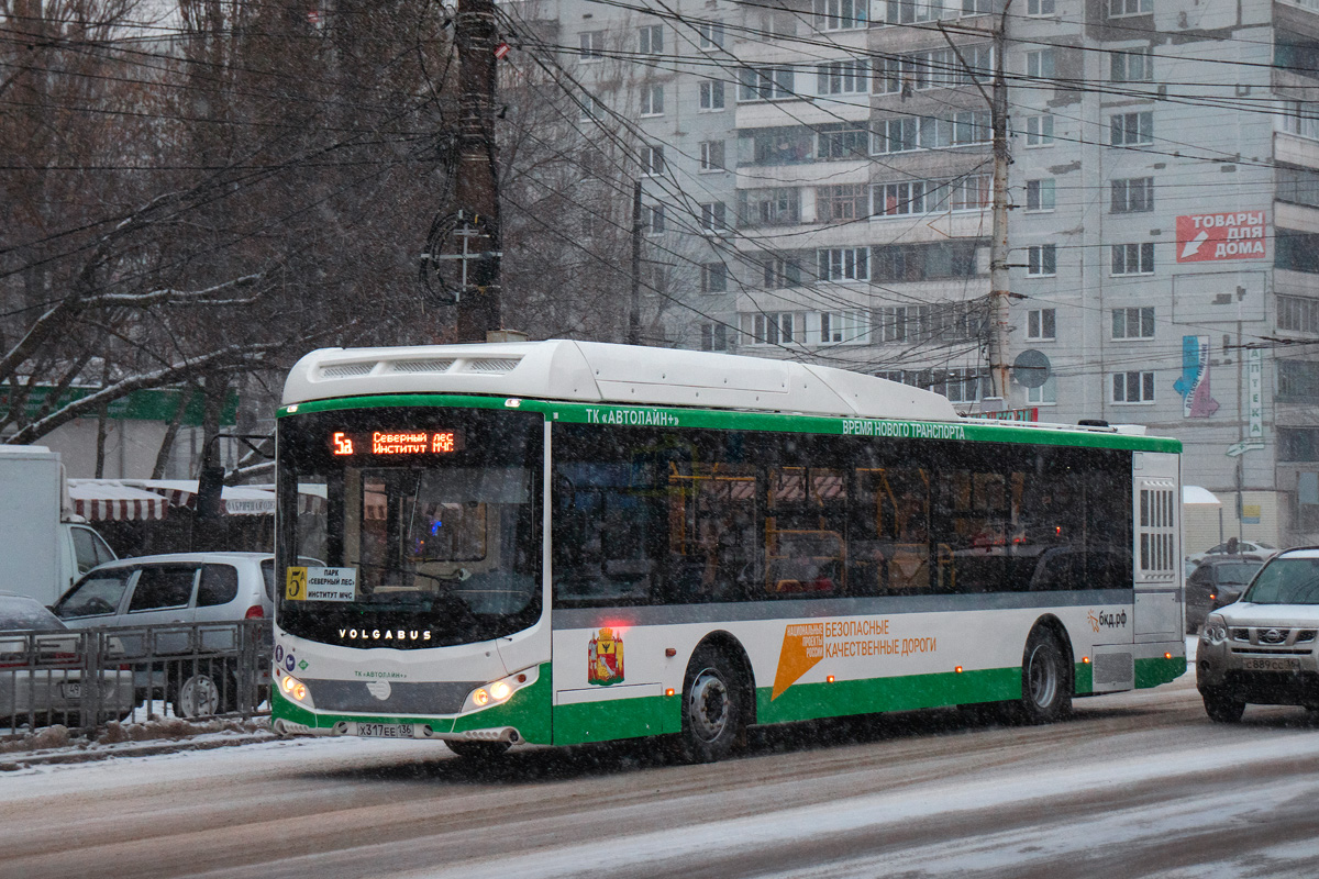 Воронежская область, Volgabus-5270.G2 (CNG) № Х 317 ЕЕ 136