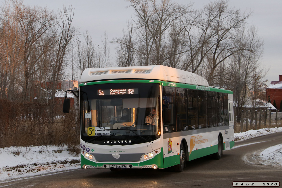 Воронежская область, Volgabus-5270.G2 (CNG) № Х 217 ЕЕ 136