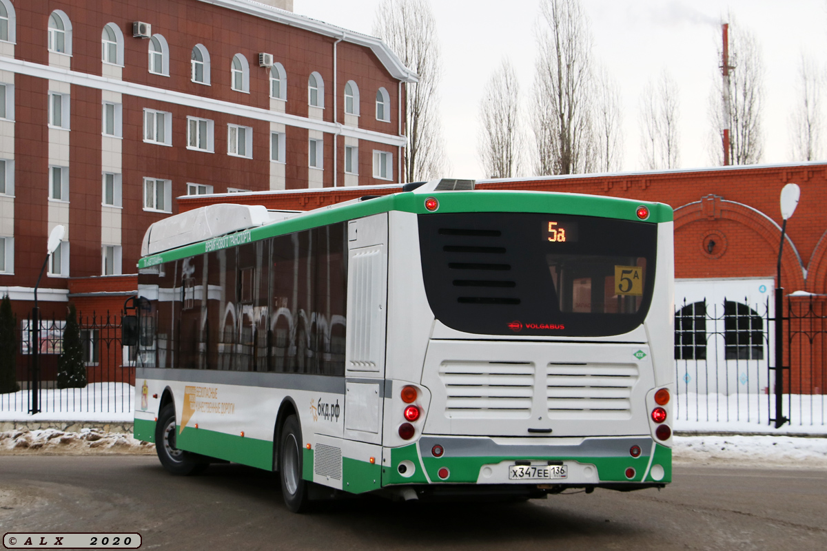 Воронежская область, Volgabus-5270.G2 (CNG) № Х 347 ЕЕ 136