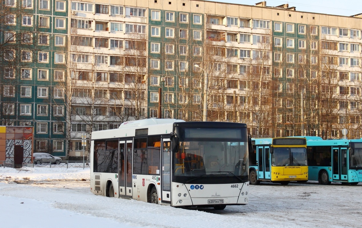 Санкт-Петербург, МАЗ-206.086 № 4662