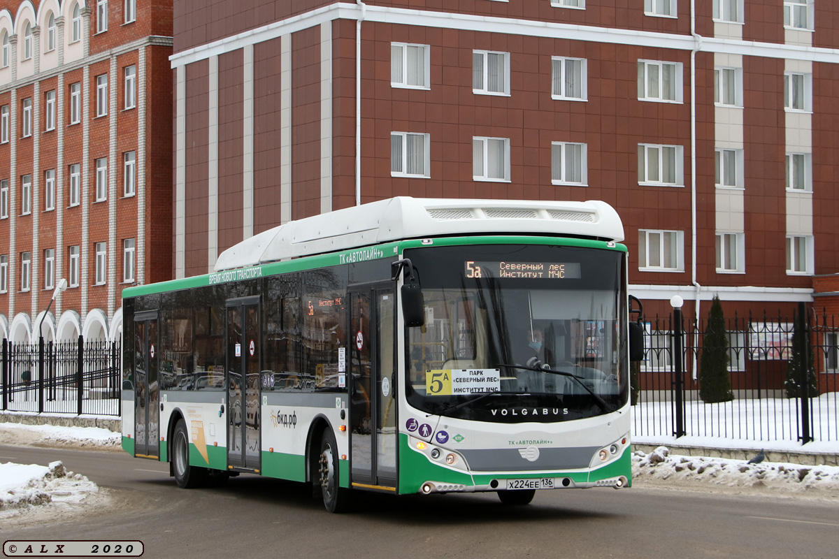 Воронежская область, Volgabus-5270.G2 (CNG) № Х 224 ЕЕ 136