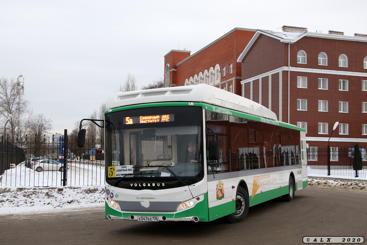 Воронежская область, Volgabus-5270.G2 (CNG) № Х 347 ЕЕ 136