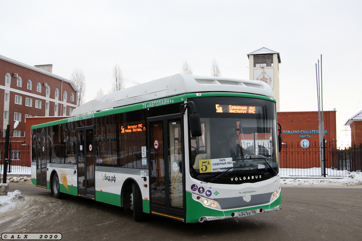 Воронежская область, Volgabus-5270.G2 (CNG) № Х 347 ЕЕ 136