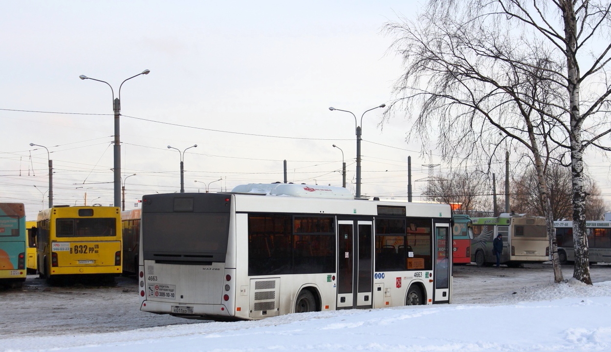 Санкт-Петербург, МАЗ-206.086 № 4663