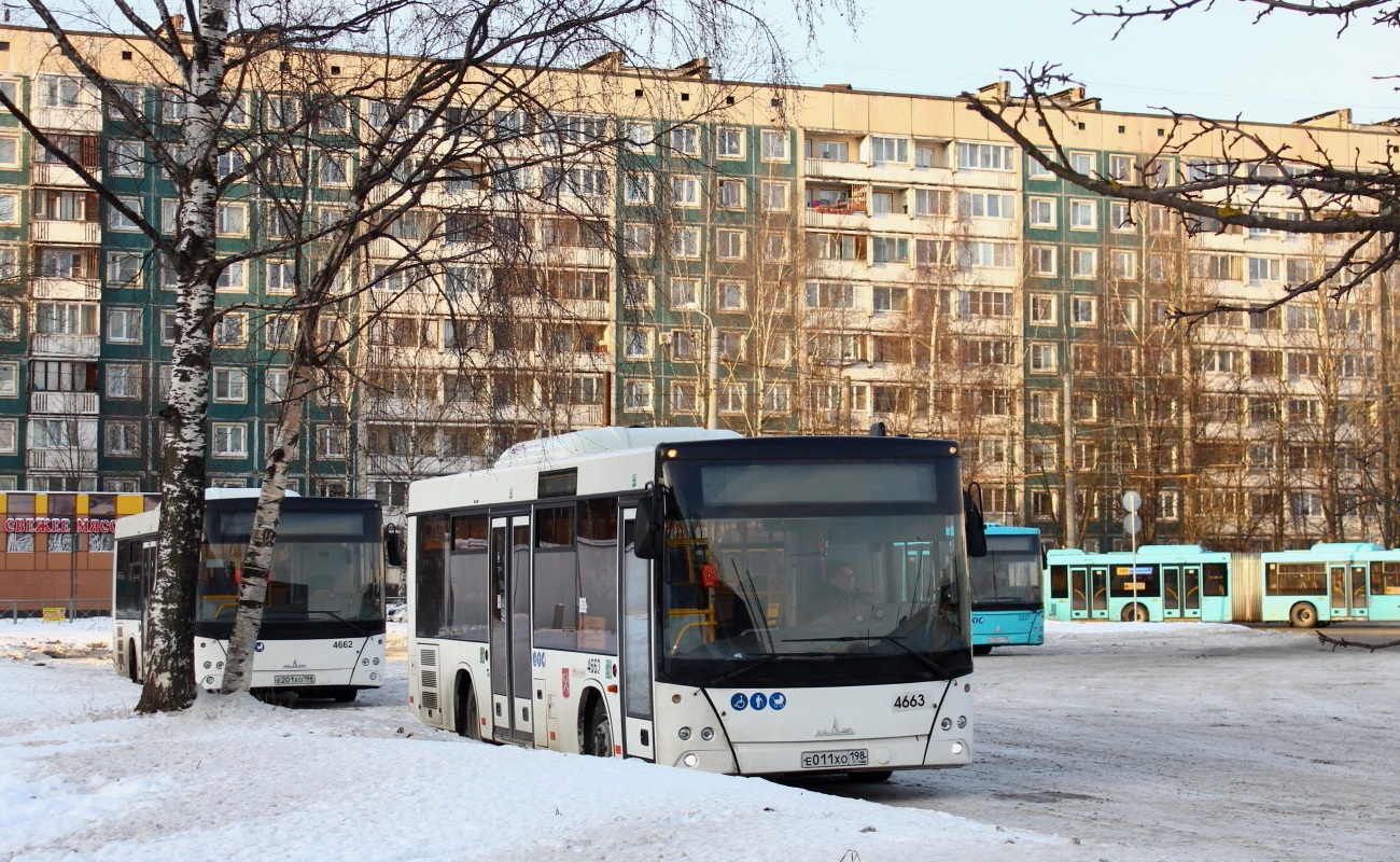 Санкт-Петербург, МАЗ-206.086 № 4663