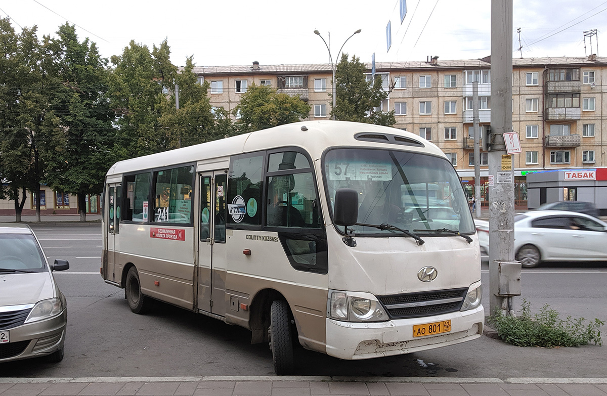 Кемеровская область - Кузбасс, Hyundai County Kuzbass № 241