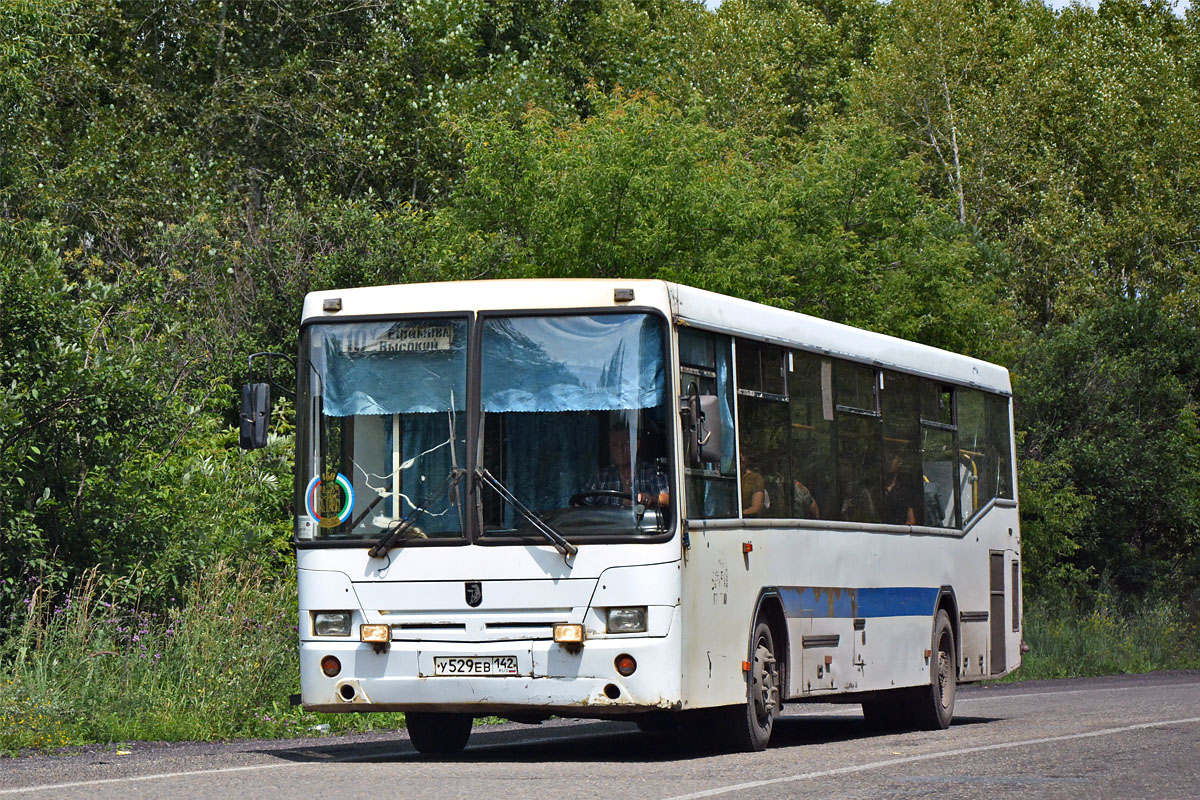 Kemerovo region - Kuzbass, NefAZ-5299-10-15 Nr. 227