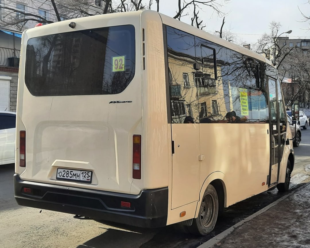 Приморский край, ГАЗ-A64R42 Next № О 285 МН 125