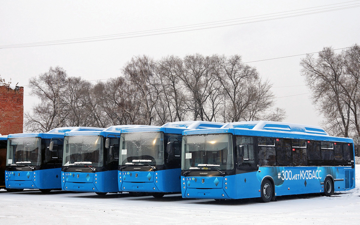 Кемеровская область - Кузбасс — Новые автобусы