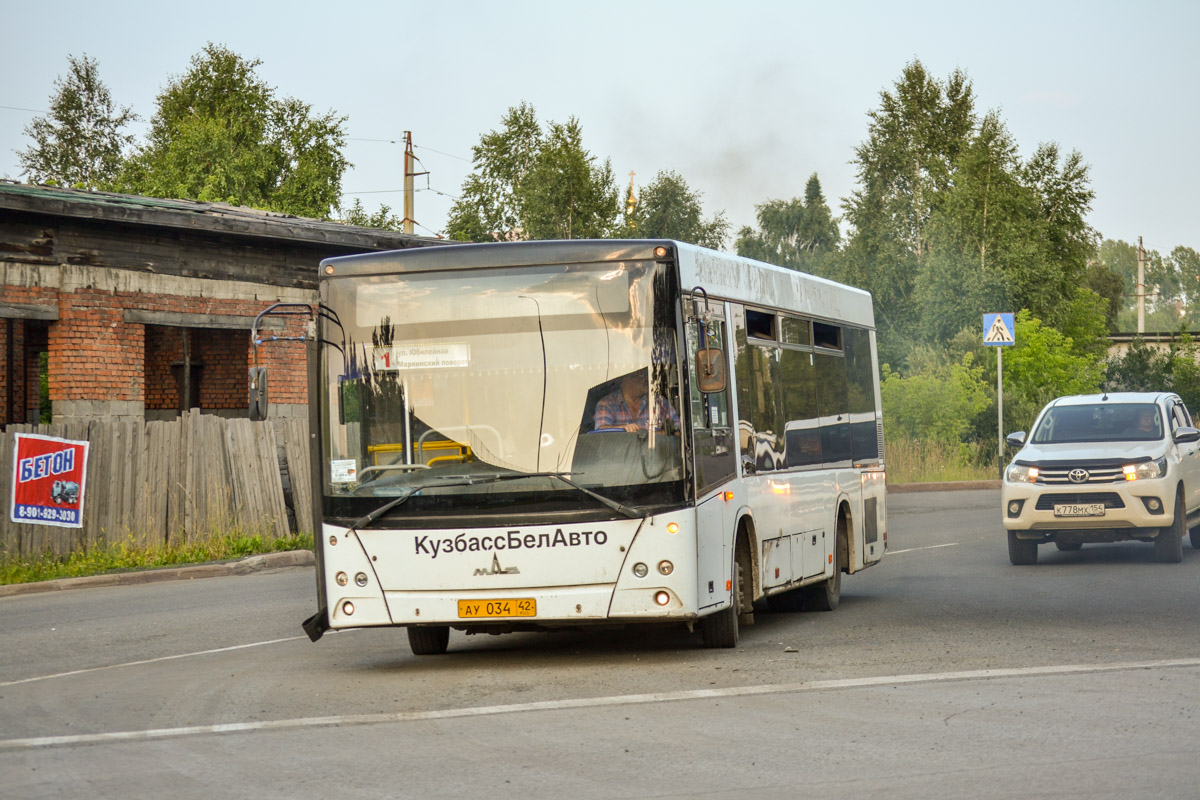 Kemerovo region - Kuzbass, MAZ-226.068 Nr. 51