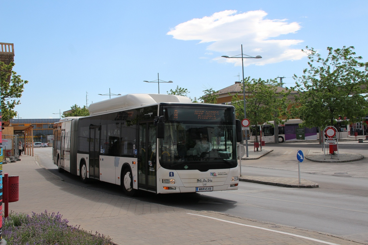 Австрия, MAN A23 Lion's City G NG313 CNG № WN 45 VB