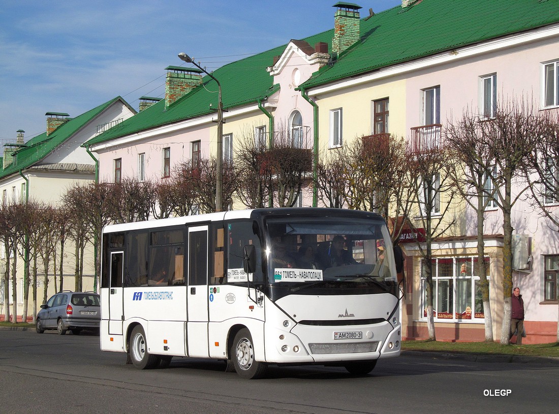 Гомельская область, МАЗ-241.030 № 015831