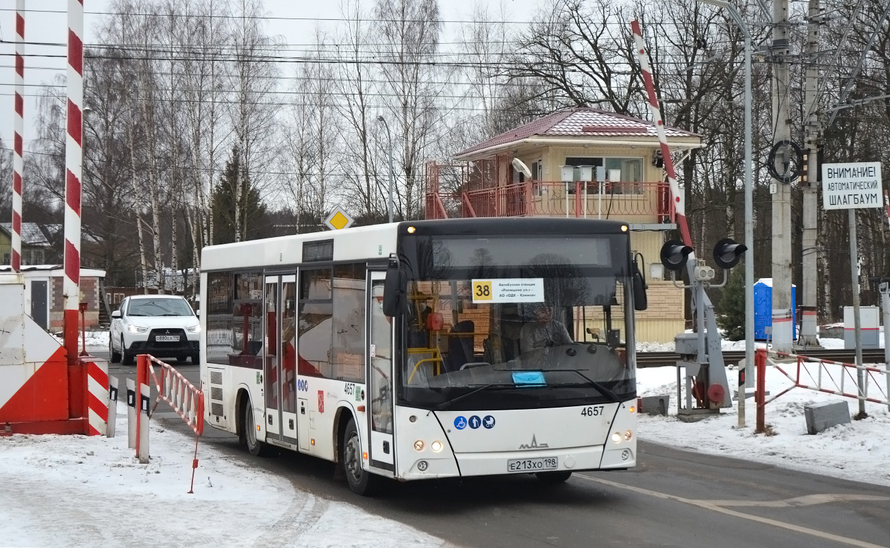 Санкт-Петербург, МАЗ-206.085 № 4657