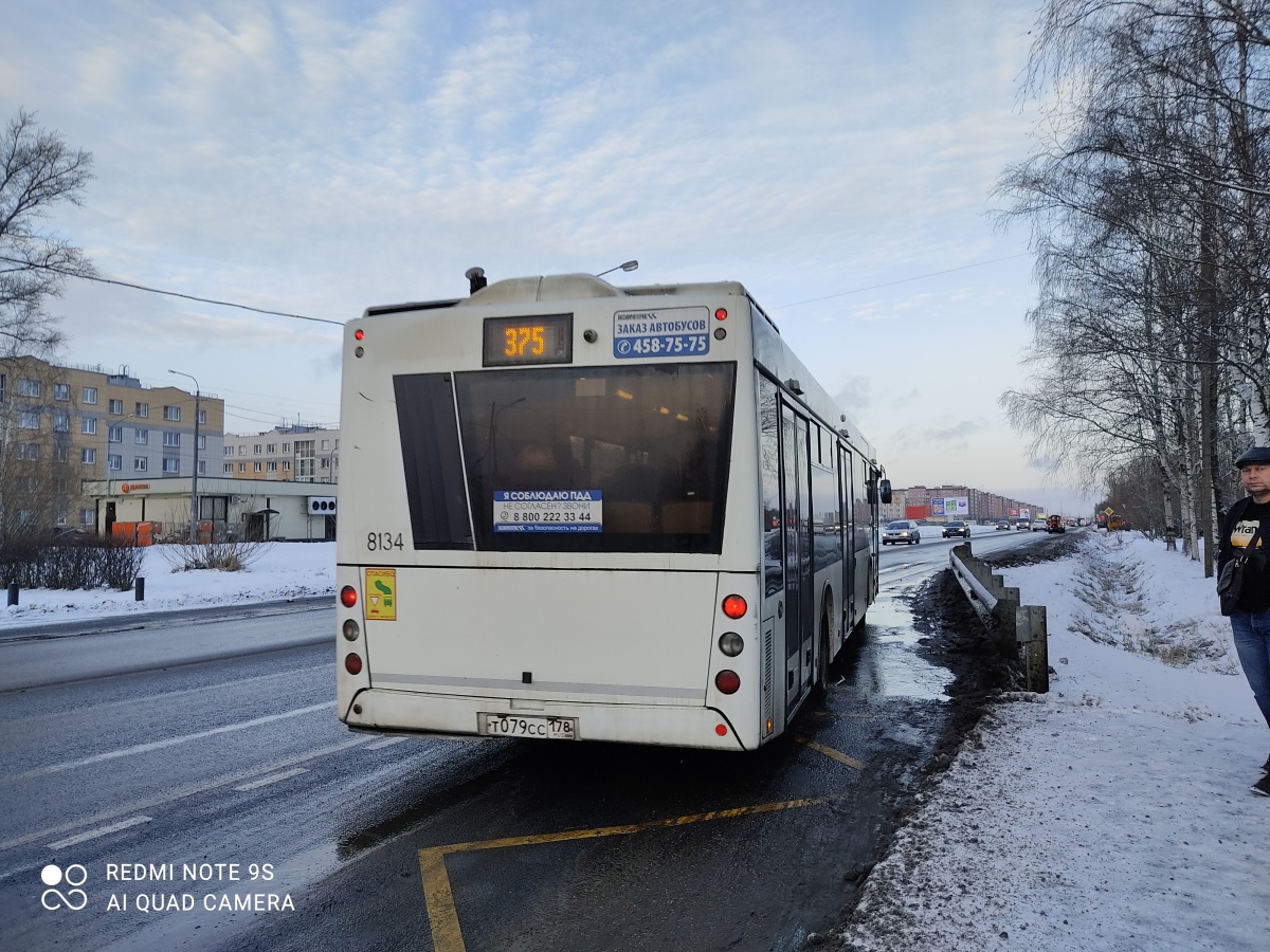 Санкт-Петербург, МАЗ-203.085 № 8134