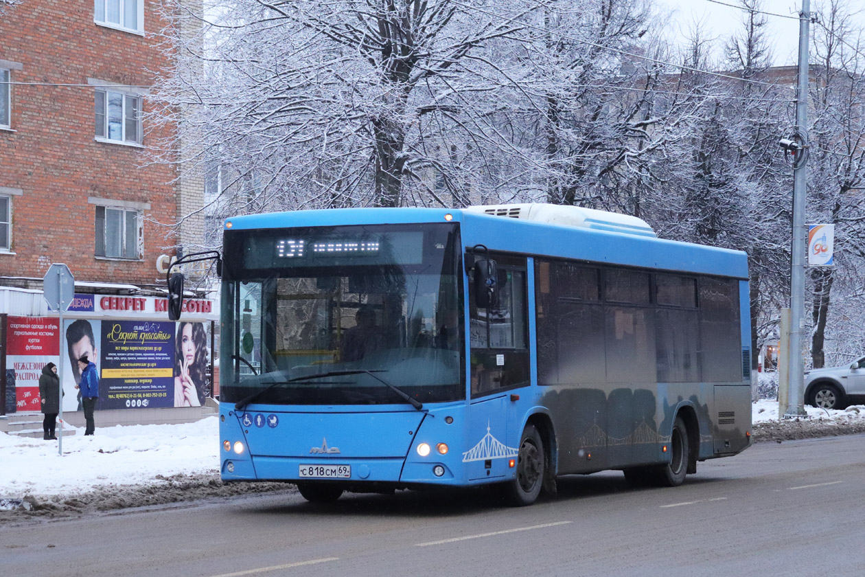 Тульская область, МАЗ-206.086 № С 818 СМ 69