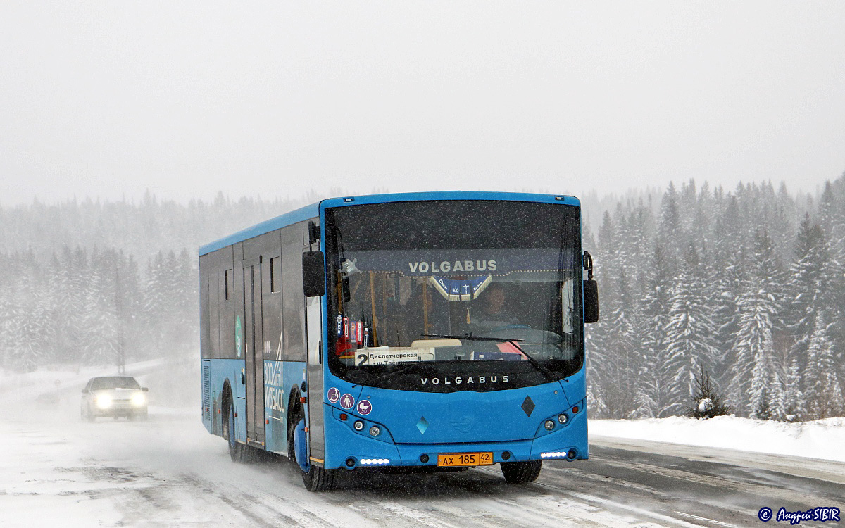 Кемеровская область - Кузбасс, Volgabus-5270.0H № 79