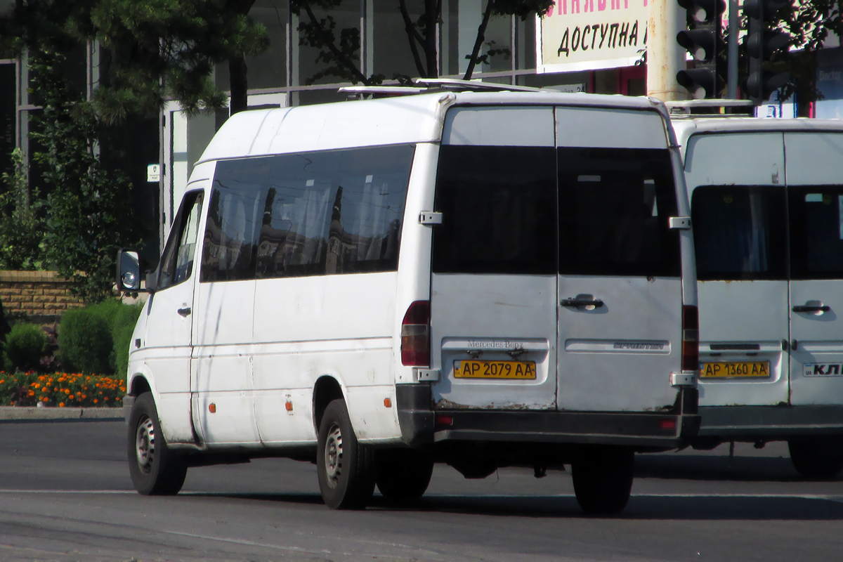 Запорожская область, Mercedes-Benz Sprinter W903 312D № AP 2079 AA