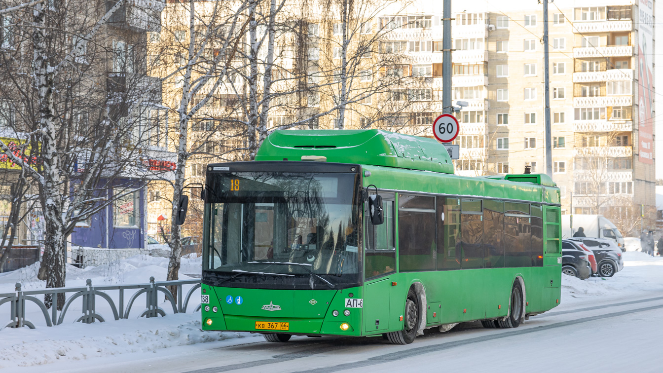 Свердловская область, МАЗ-203.L65 № 1738