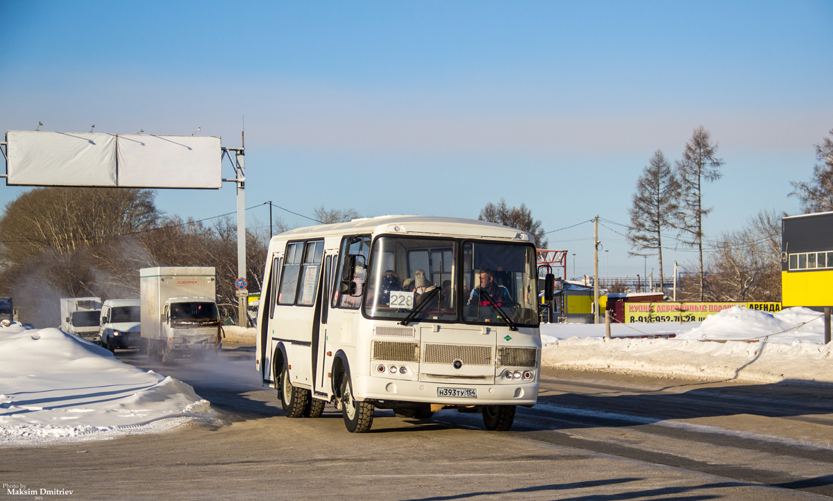 Новосибирская область, ПАЗ-320540-12 № Н 393 ТУ 154