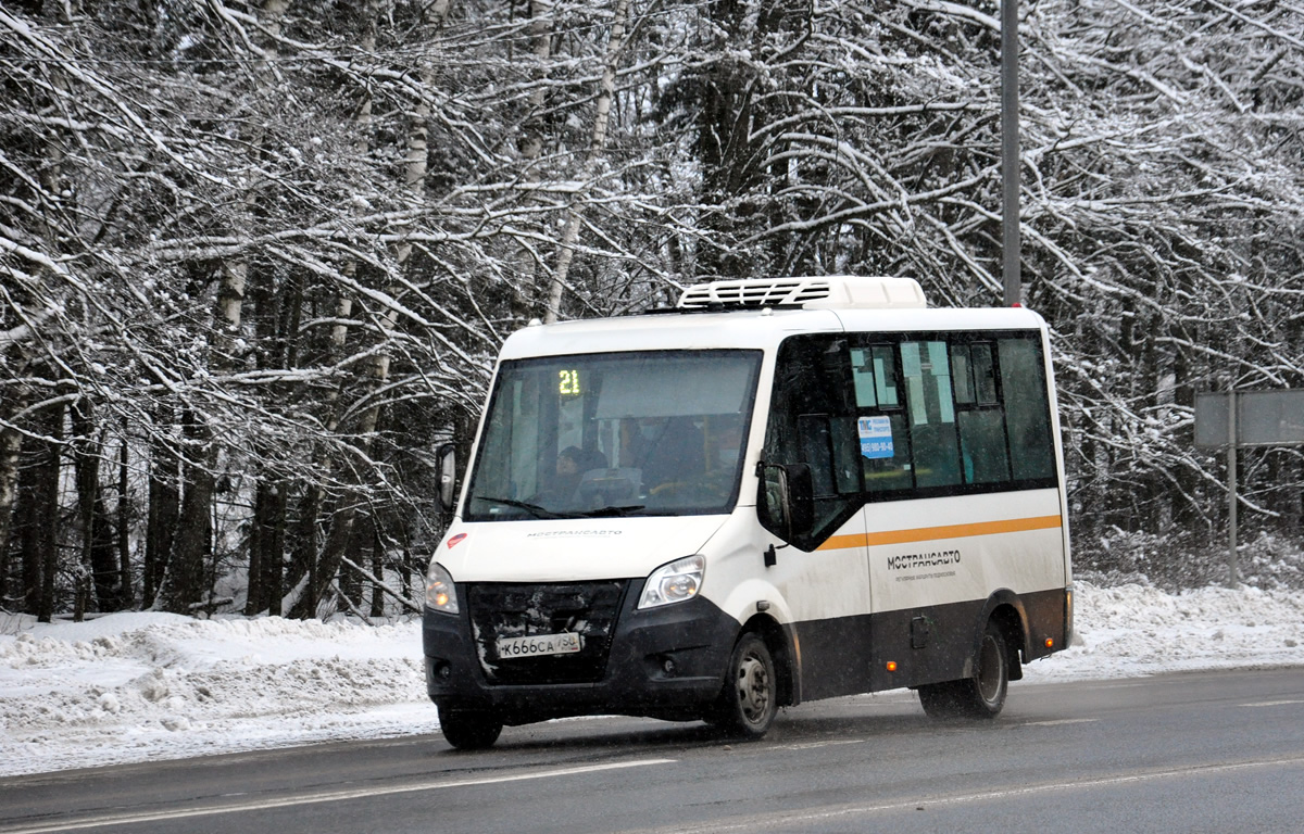 Московская область, Луидор-2250DS (ГАЗ Next) № 065067