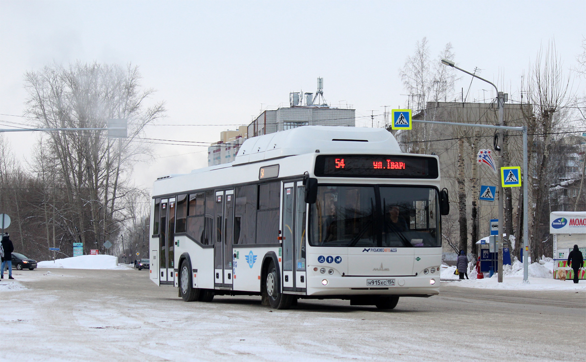 Новосибирская область, МАЗ-103.965 № 11001