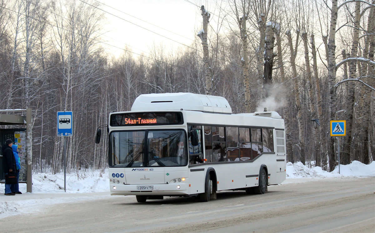 Novosibirsk region, MAZ-103.965 Nr. 11008