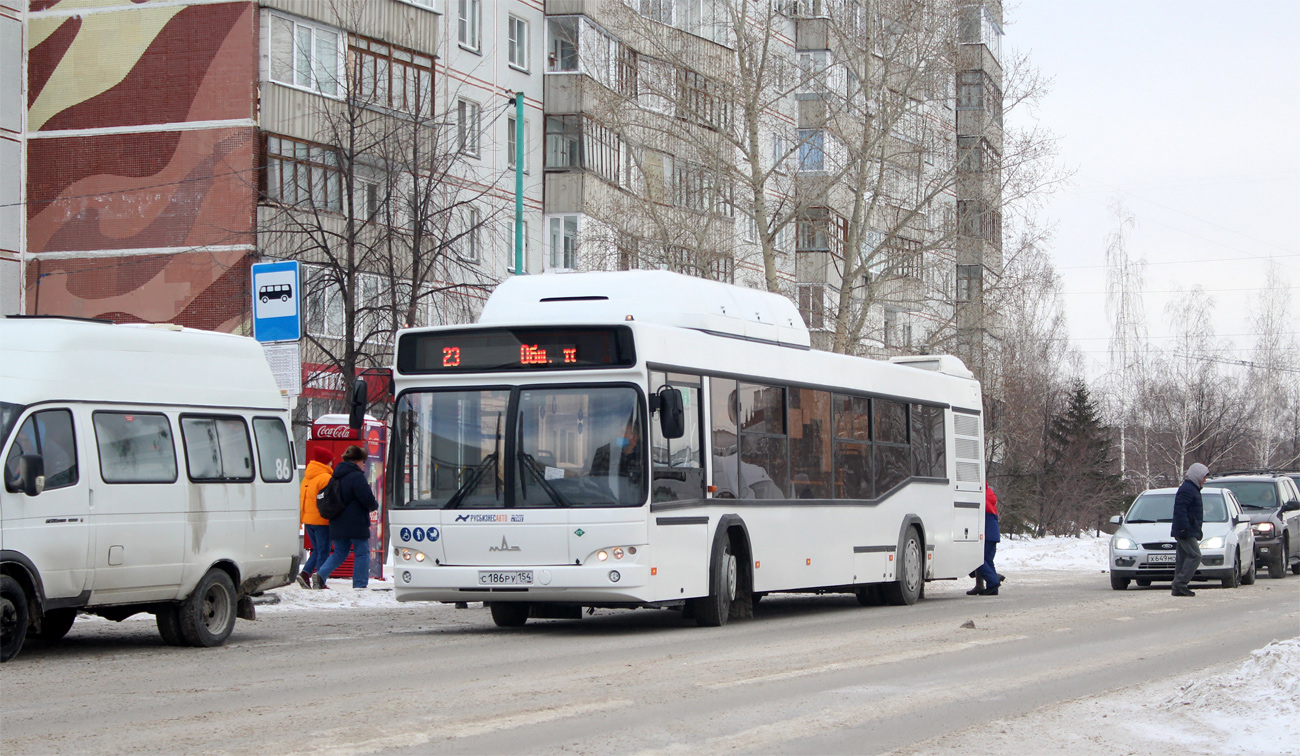 Новосибирская область, МАЗ-103.965 № 11006