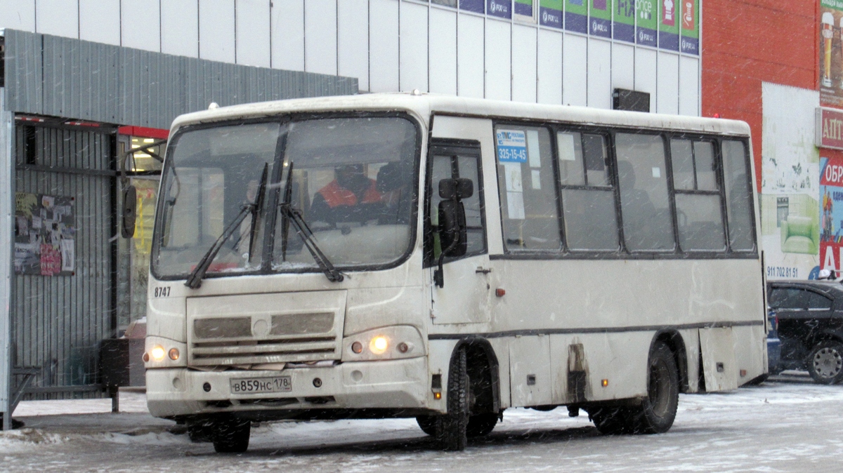 Ленинградская область, ПАЗ-320402-05 № 8747